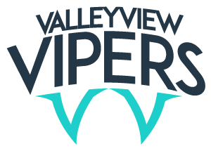 Valleyview Vipers logo